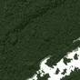 Chlorella