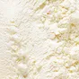 Prebiotic Fiber