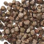 Chaste Berry (vitex)